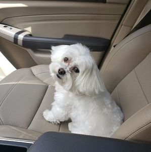 Meet your Posher, Diane